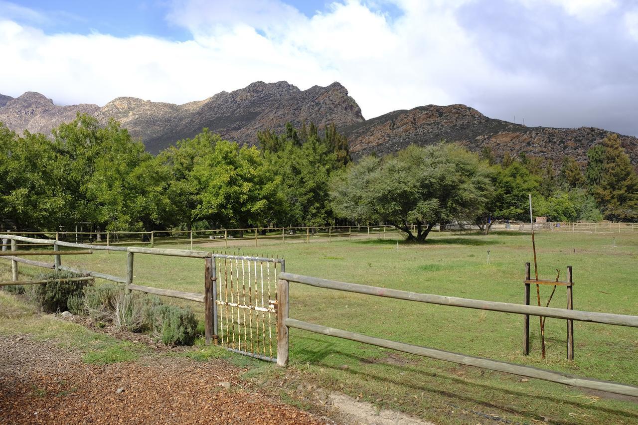 De Bos Cottages Montagu Exterior photo