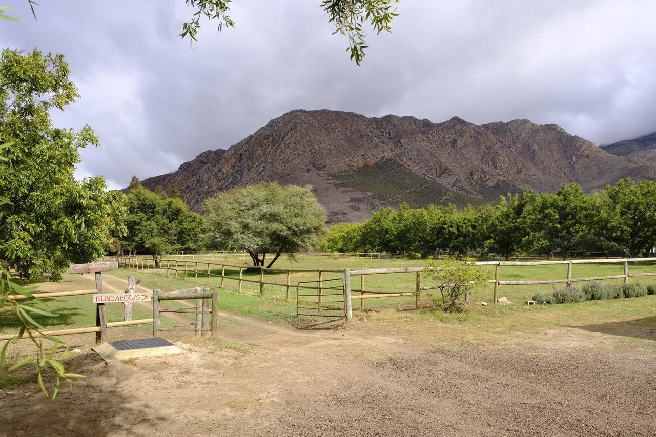 De Bos Cottages Montagu Exterior photo